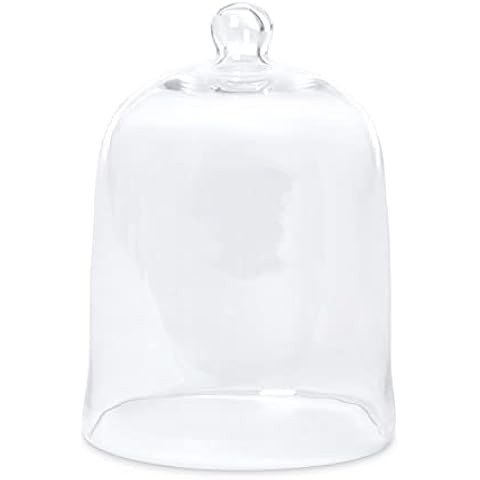14" Tall Handmade Glass Cloche, Thick & Sturdy, Dia 10"xH 14", For Terrarium, Plants, Trinkets, C... | Amazon (US)