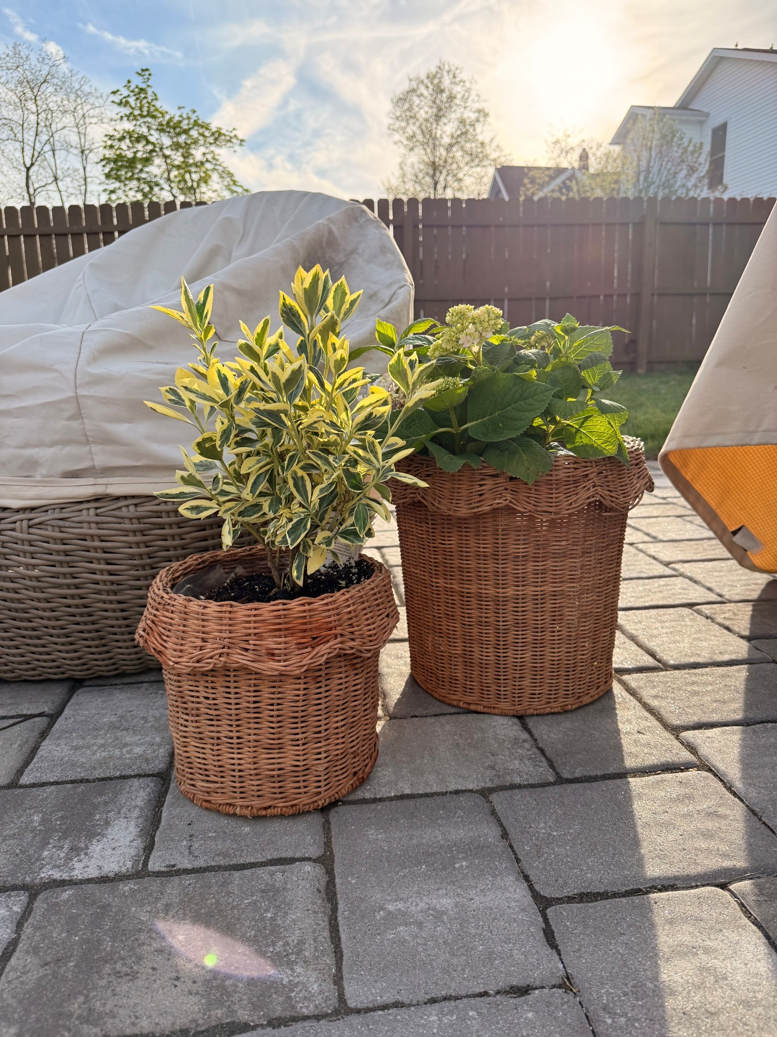 Woven rattan planters with scallop

#LTKFindsUnder50 #LTKSeasonal #LTKHome