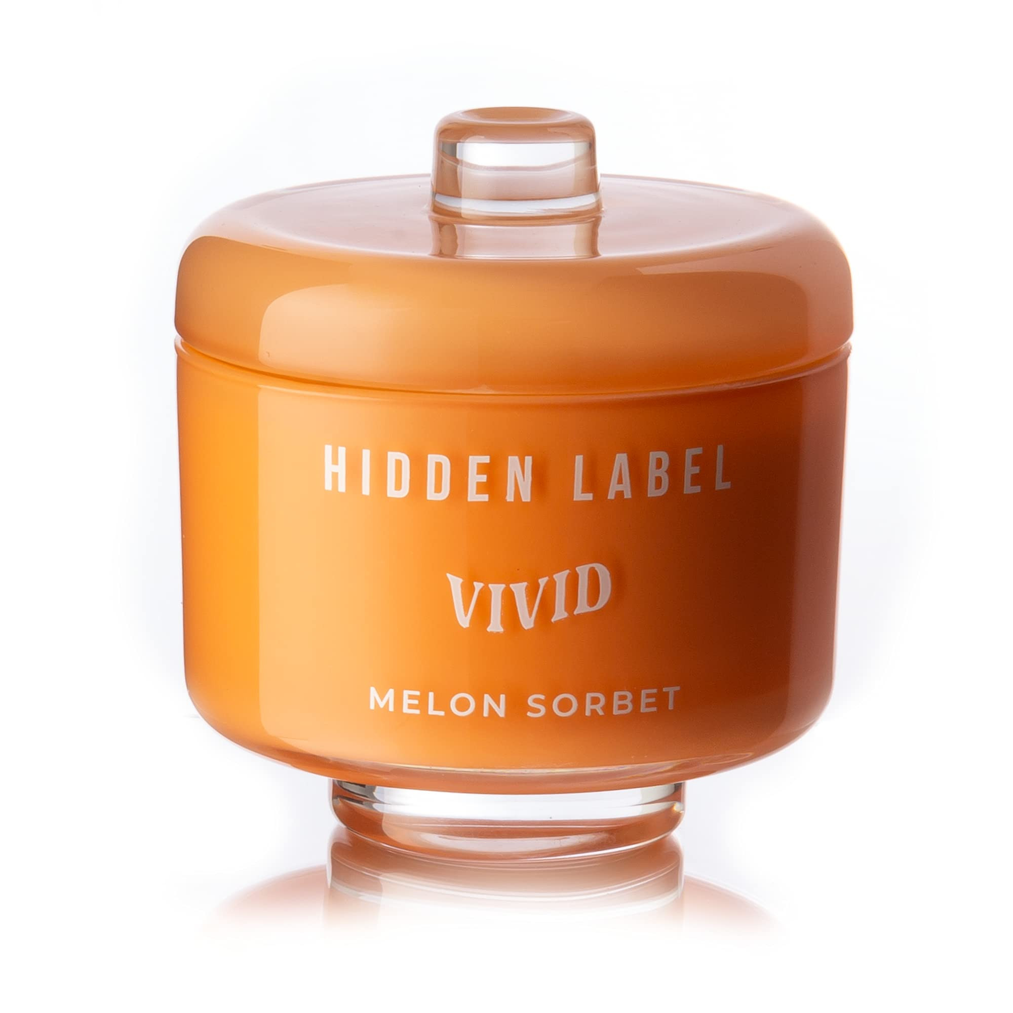 Hidden Label Vivid Collection Classic Scented Candle, 2 Wicks Melon Sorbet Soy Aromatherapy Candle,  | Amazon (US)