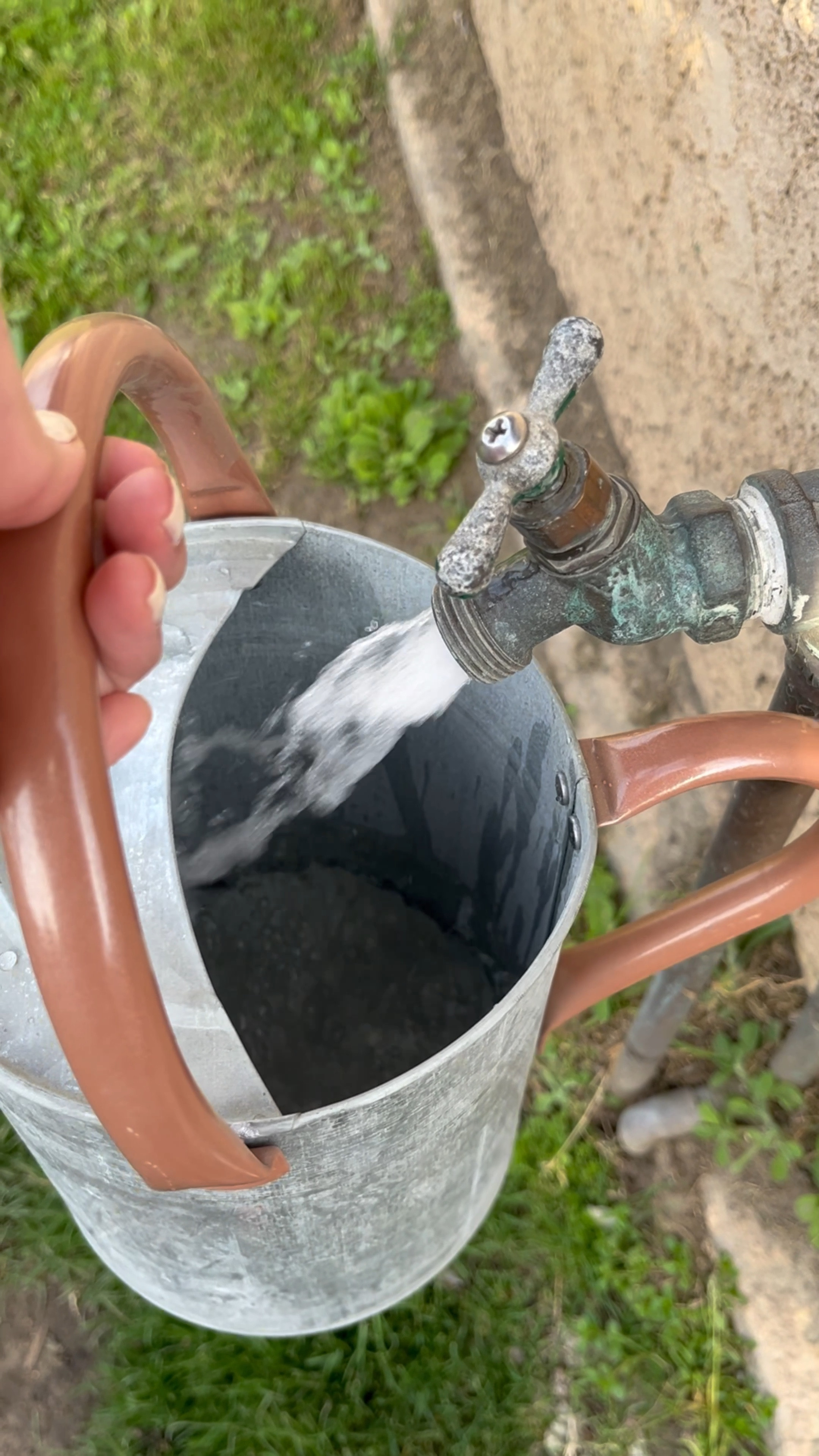 For my fellow gardeners 🌱🤍

#LTKfamily #LTKVideo #LTKhome