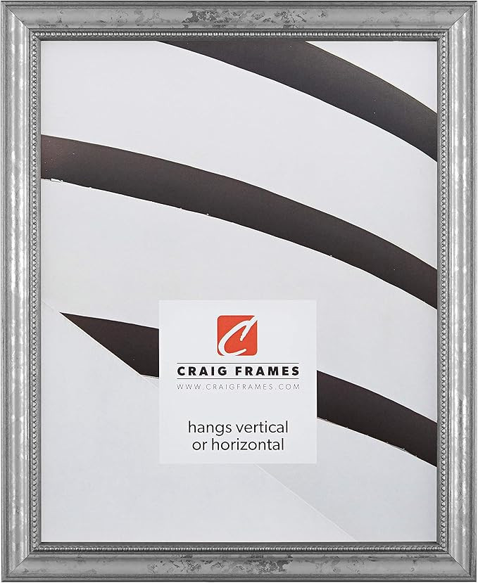 Craig Frames 314SI, Ornate Silver Picture Frame, 24 x 36 Inch | Amazon (US)