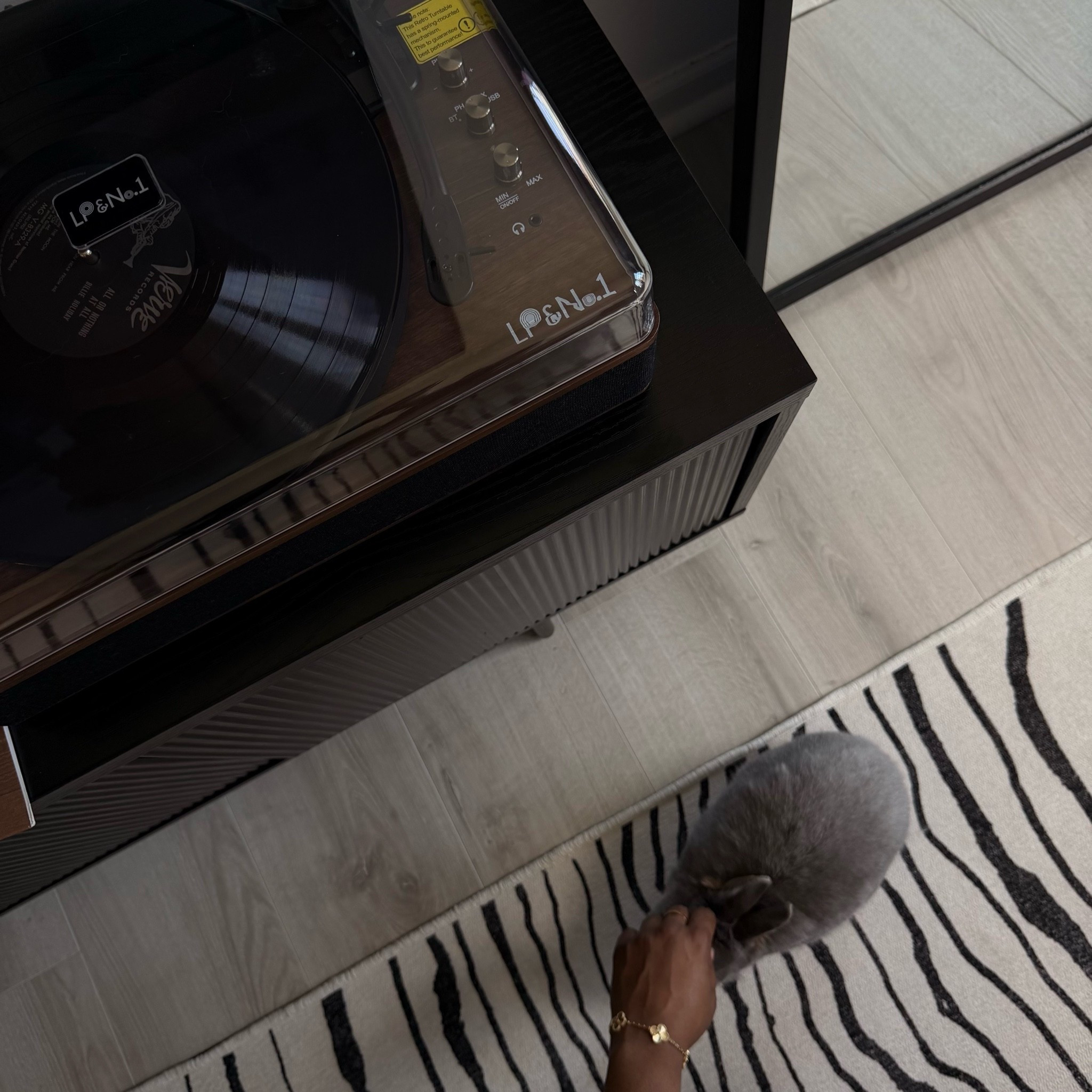 My new record player 🥰 #ltkmusic #ltkhomedecor #homedecor #homedesign

#LTKHome #LTKvlog #LTKdayinmylife