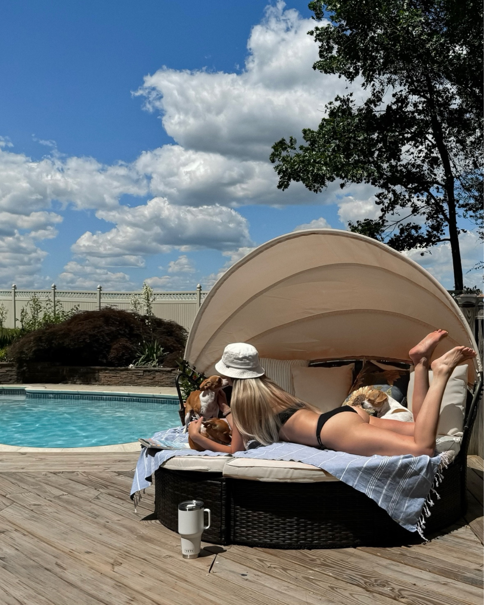 Amazon wicker canopy patio lounger by the pool 🐶👙🐬🩵 #summer #bikini #aesthetic #pool

#LTKSwim #LTKSeasonal #LTKSummerSales