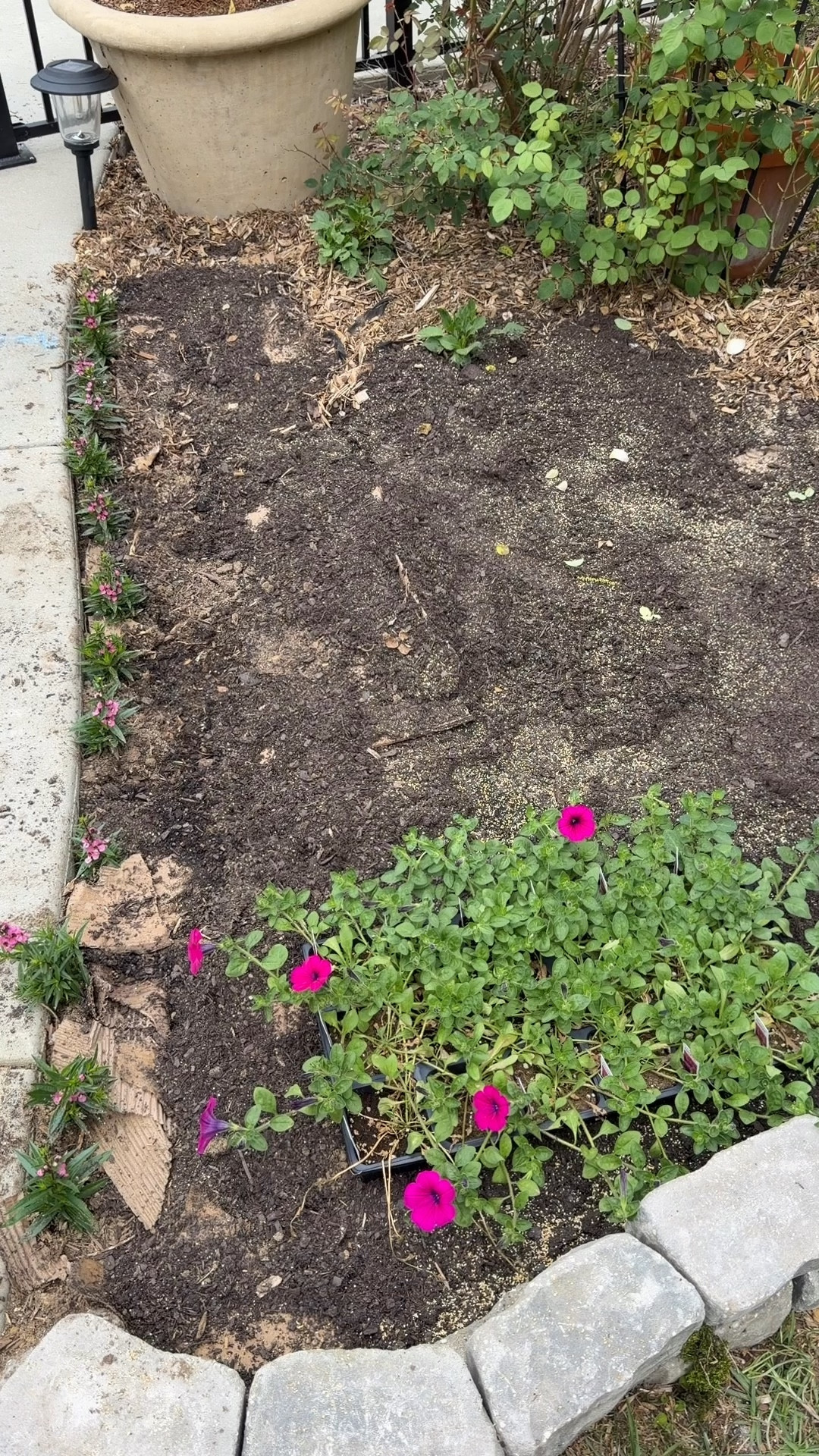 What we’re planting here! 👩🏼‍🌾

#LTKSeasonal #LTKHome #LTKdayinmylife