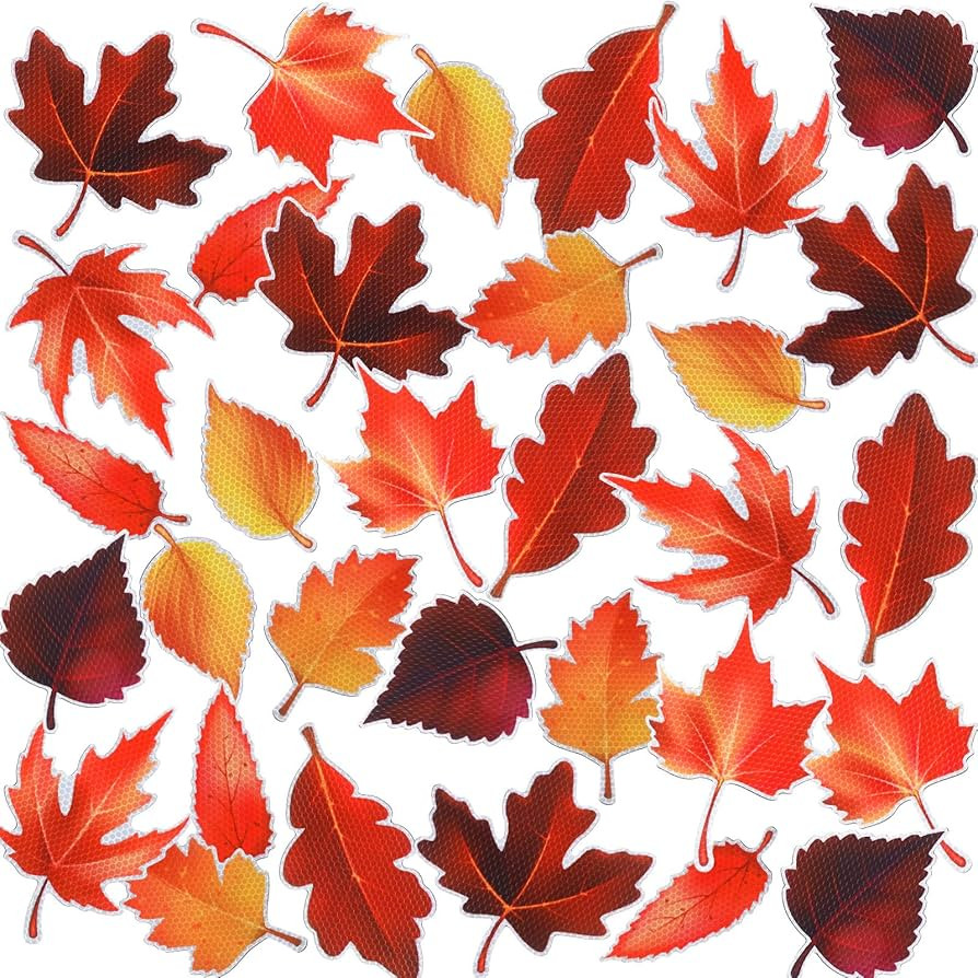 Yexiya Fall Magnets Thanksgiving Car Magnets Fall Leaf Magnets for Fridge Autumn Reflective Magne... | Amazon (US)