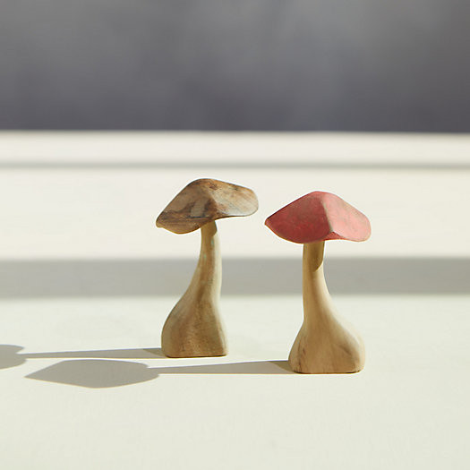 Teak Mushroom, Mini | Terrain