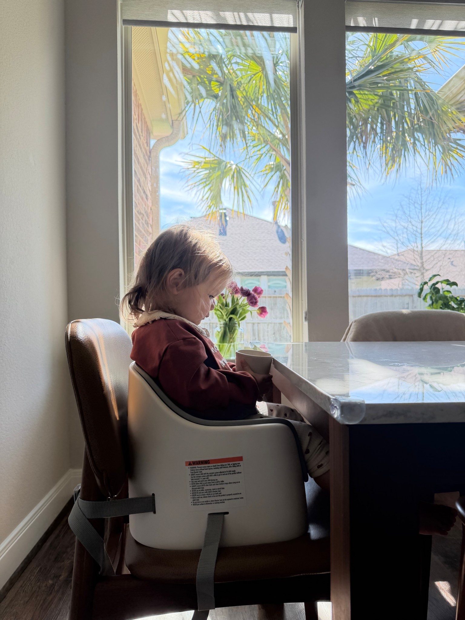 Just got our toddler upgraded to a booster seat. She seems to like it better than her high chair 

#LTKtoddler #LTKboosterseat #LTKmomlife