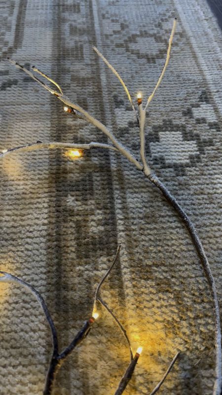 Here is the twig garland I shared in stories yesterday and a link to the rug☺️
The twig garland keeps going in and out of stock, so I linked the white birch and another similar option to the one I have.

#LTKSeasonal #LTKhome #LTKHoliday