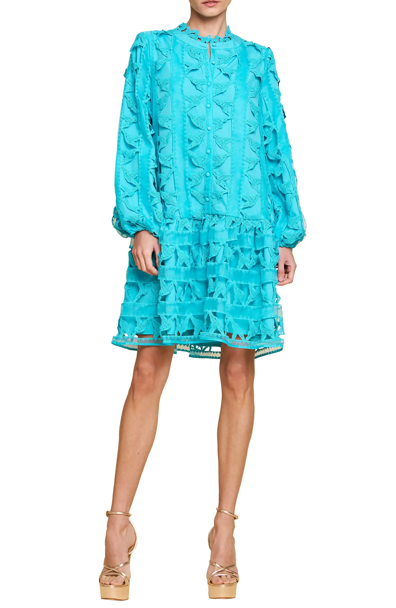 Wylla Humbird Lace & Organza Drop Waist Dress | Nordstrom