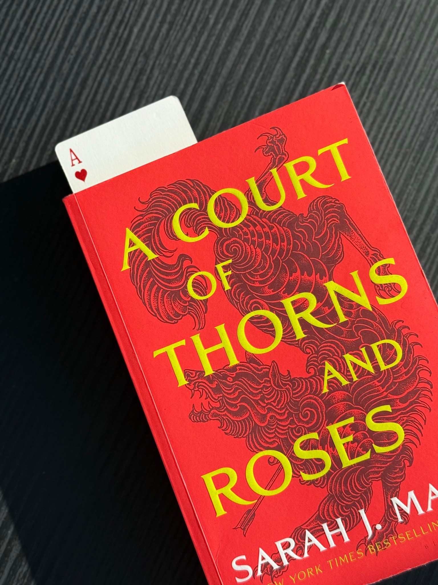 The sexy, action-packed first book in the #1 bestselling Court of Thorns and Roses series from global phenomenon Sarah J. Maas.

When nineteen-year-old huntress Feyre kills a wolf in the woods, a terrifying creature arrives to demand retribution. Dragged to a treacherous magical land she knows about only from legends, Feyre discovers that her captor is not truly a beast, but one of the lethal, immortal faeries who once ruled her world.

At least, he's not a beast all the time.

As she adapts to her new home, her feelings for the faerie, Tamlin, transform from icy hostility into a fiery passion that burns through every lie she's been told about the beautiful, dangerous world of the Fae. But something is not right in the faerie lands. An ancient, wicked shadow is growing, and Feyre must find a way to stop it, or doom Tamlin-and his world-forever.

From bestselling author Sarah J. Maas comes a seductive, breathtaking book that blends romance, adventure, and faerie lore into an unforgettable read. 
#acotar #booktok #romantasy #summerreading


#LTKSaleAlert

#LTKTravel #LTKFindsUnder50