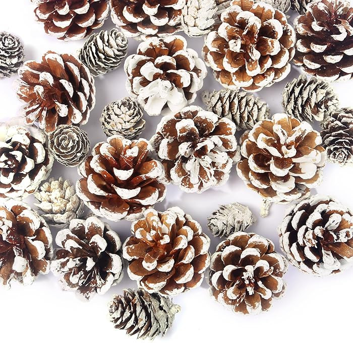 JOHOUSE 30PCS Snow-Dusted Pine Cones – Natural Pinecones for Christmas Tree Ornaments, Wreath M... | Amazon (US)