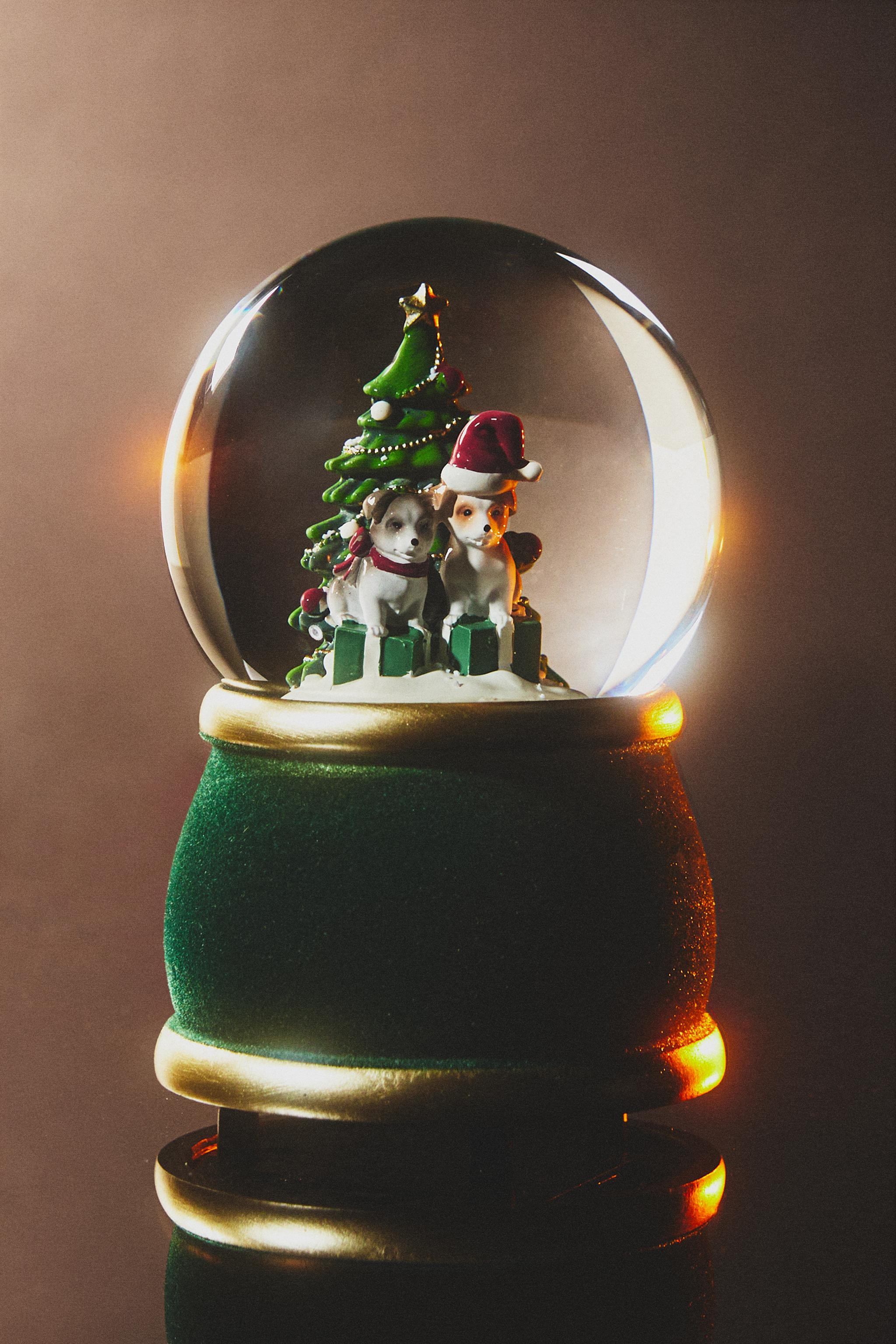 CHRISTMAS DOG SNOW GLOBE | Zara US