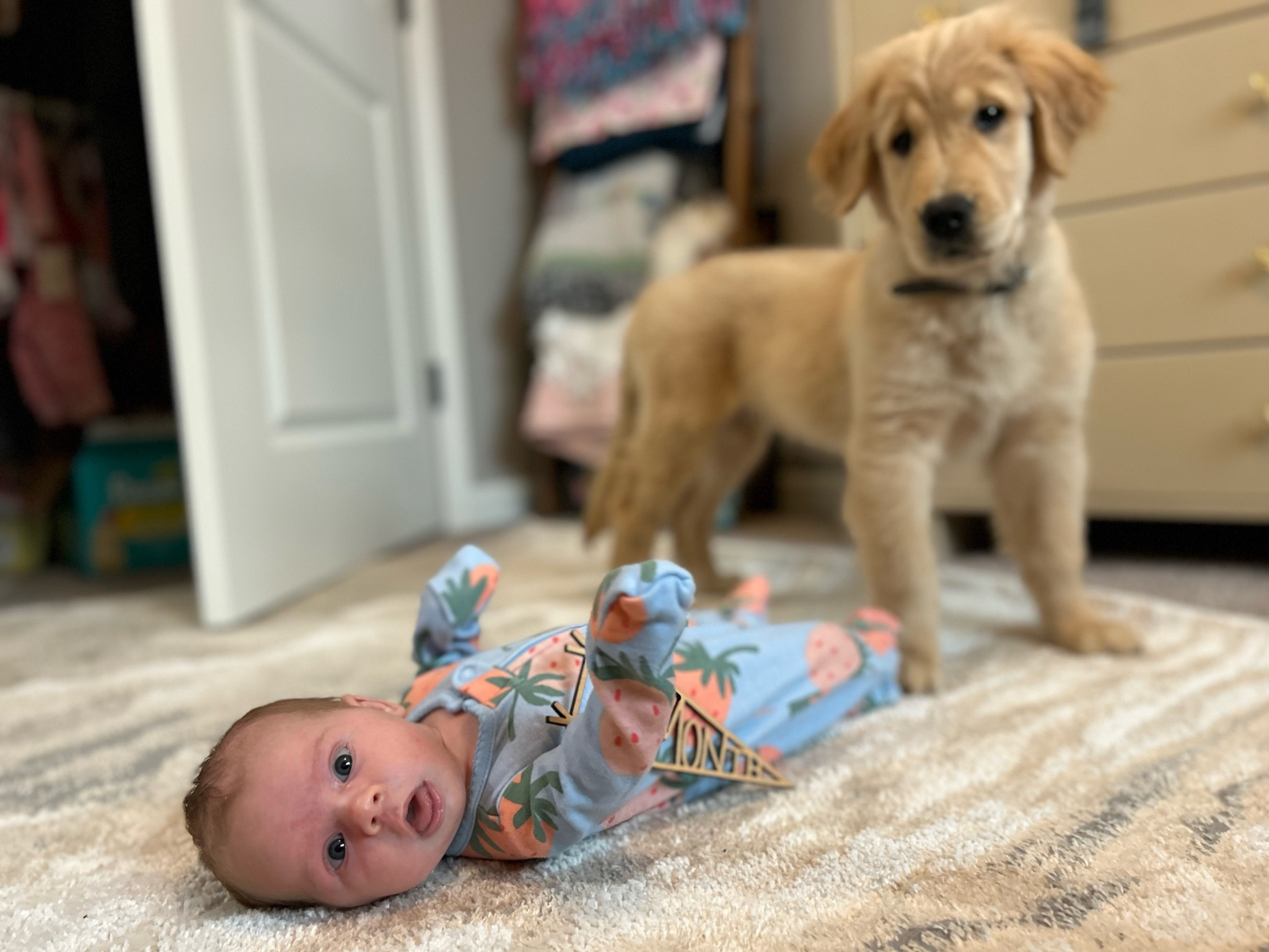 Little Josie Jo is one month old

#LTKbaby #LTKkids #LTKfamily