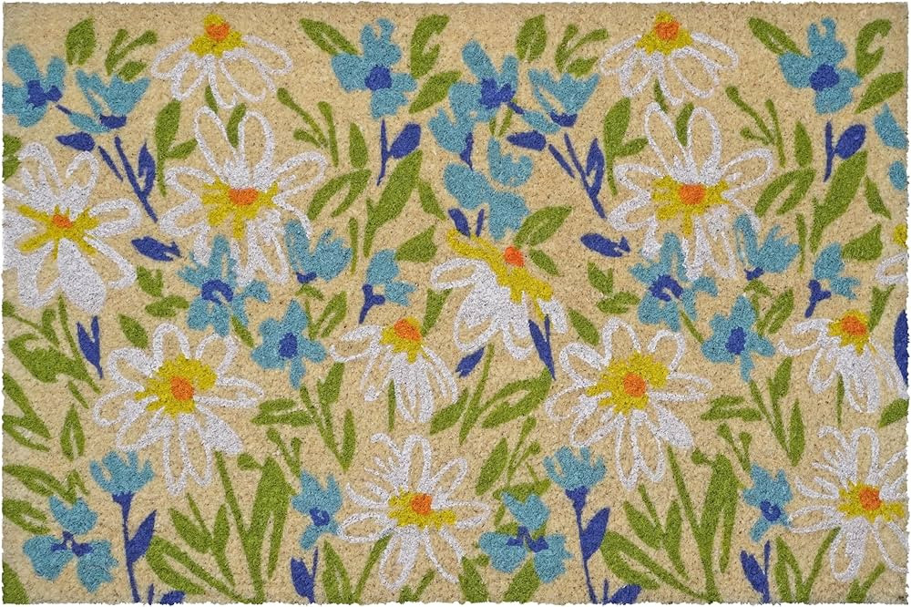 Calloway Mills Fields of Daisy Doormat (24" x 36" x 1.50") | Amazon (US)
