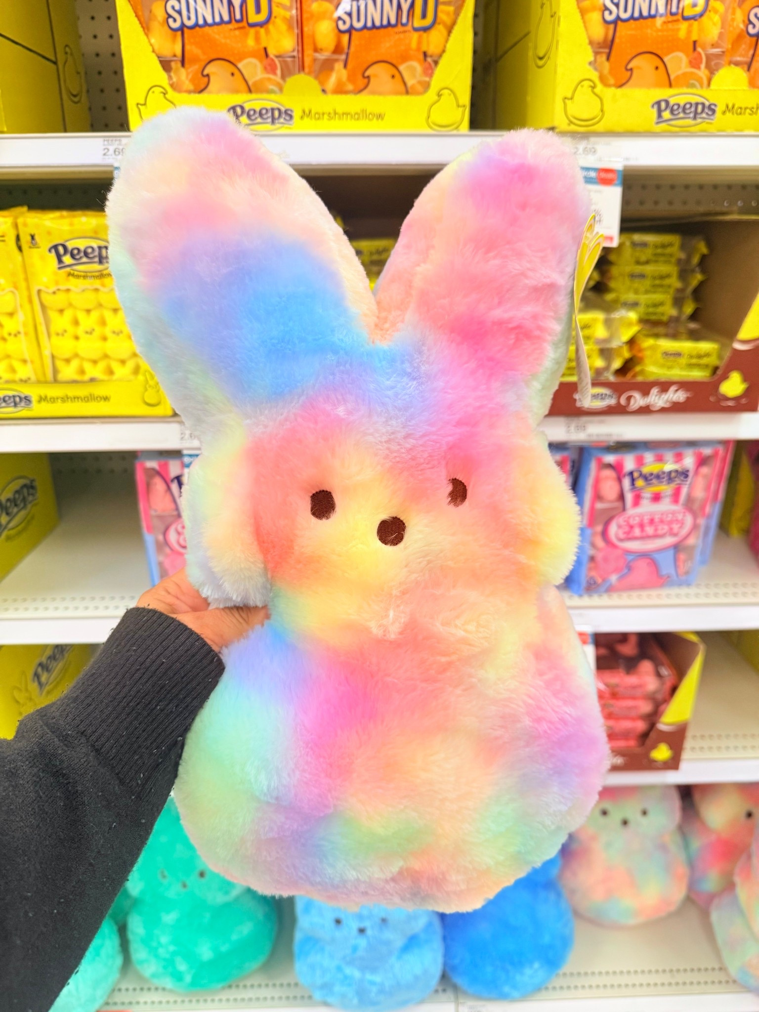 Easter PEEPS plush 🐰💙🩷💛💜💚

#LTKKids #LTKSeasonal #LTKSaleAlert