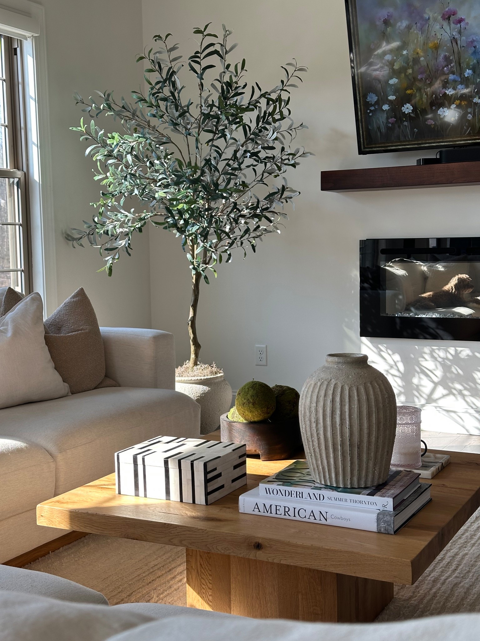 finally some sunshine in Ohio! 🥹☀️ 

#home #aesthetic #homefinds

#LTKHome #LTKFindsUnder50 #LTKStyleTip