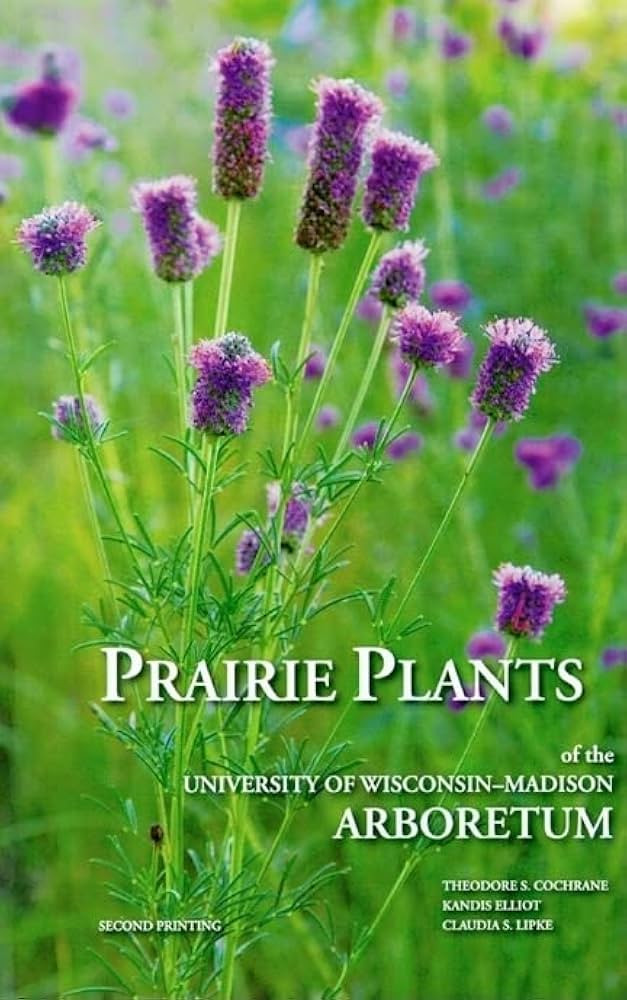 Prairie Plants | Amazon (US)