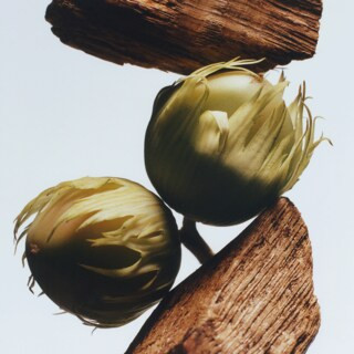 English Oak & Hazelnut Cologne | United States E-commerce Site - English | Jo Malone (US)