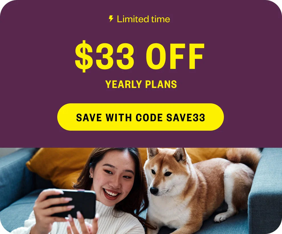 Online vet care & prescriptions, when you need it | Dutch Pet