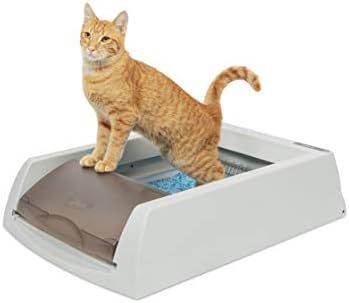 PetSafe ScoopFree Automatic Self-Cleaning Cat Litter Box - Original Purple or Taupe - 2nd Generat... | Amazon (US)