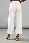 Pilcro James Cropped Wide-Leg Pants | Anthropologie (US)