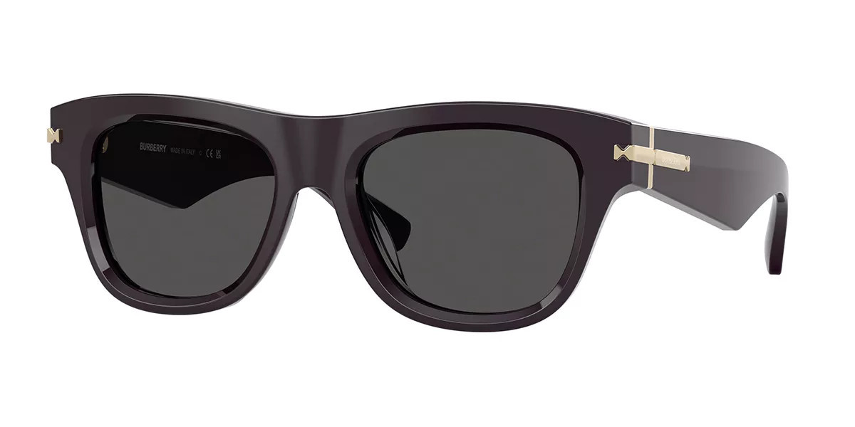 Burberry BE4438U 326587 Men's Sunglasses Burgundy Size 53 | SmartBuyGlasses Global
