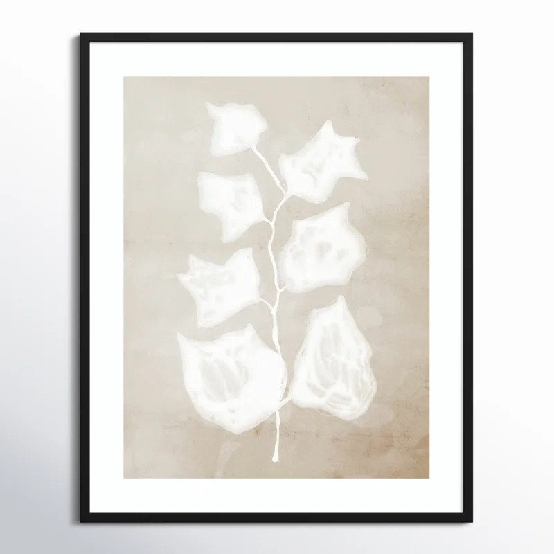 Paper Bark II by Urban Road | Birch Lane