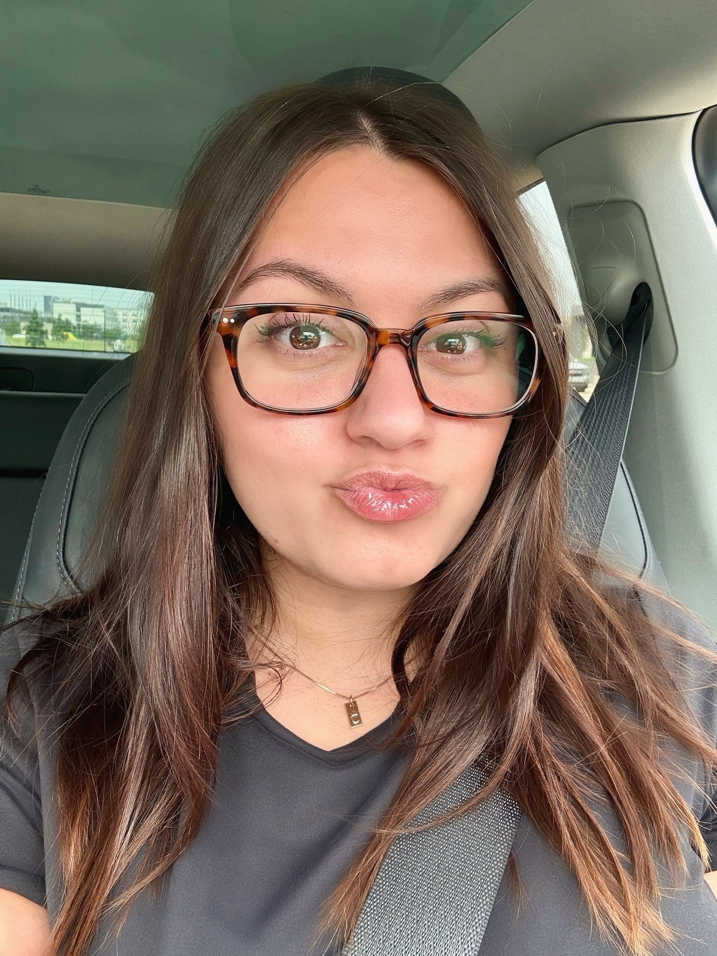 Free silver highlights, thanks genetics!!!