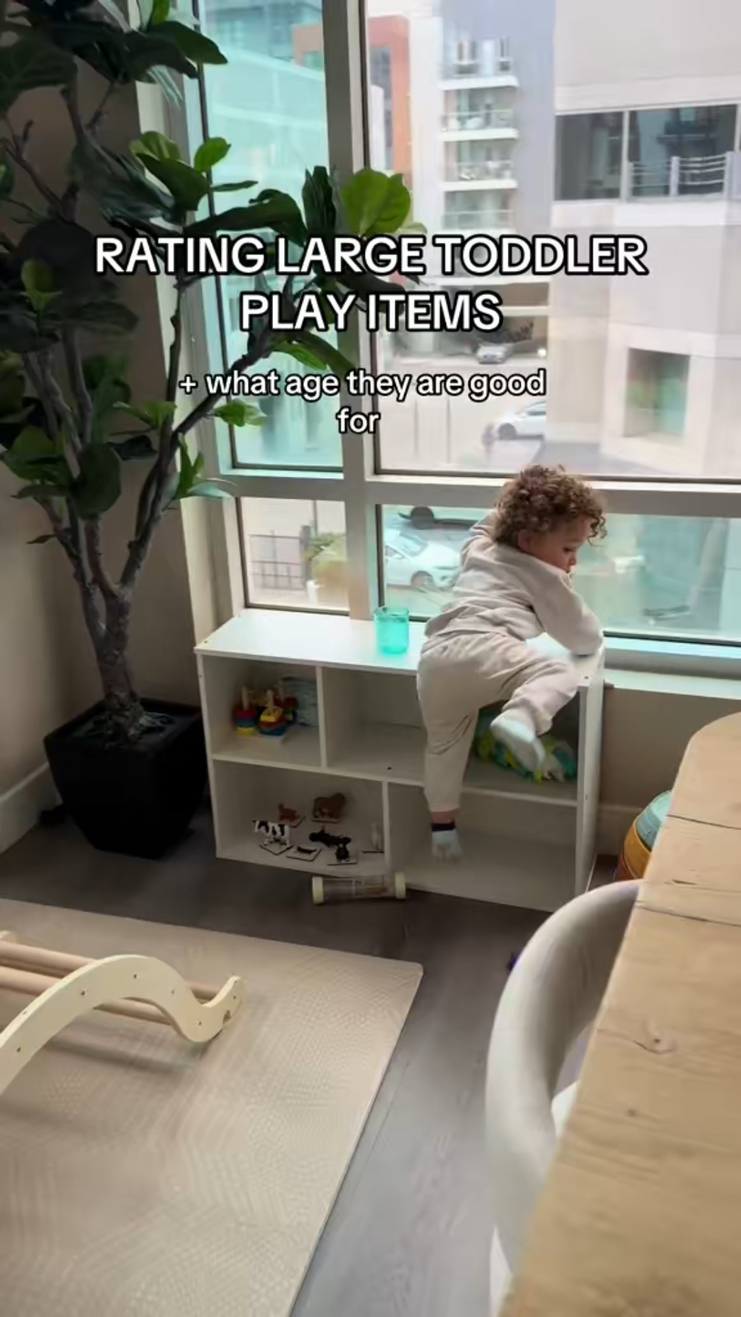 Large Toddler Play Items 

#LTKPets #LTKBaby #LTKFamily