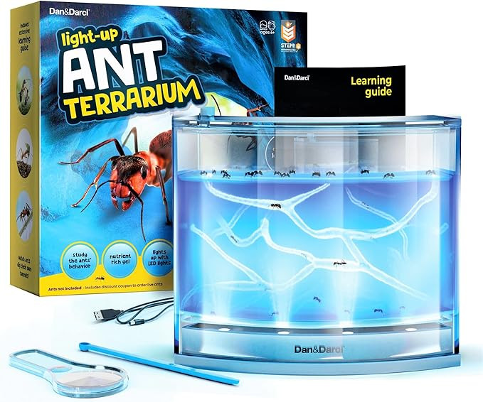 Light-up Ant Farm Terrarium Kit for Kids – LED Habitat for Live Ants with Nutrient Rich Gel - W... | Amazon (US)