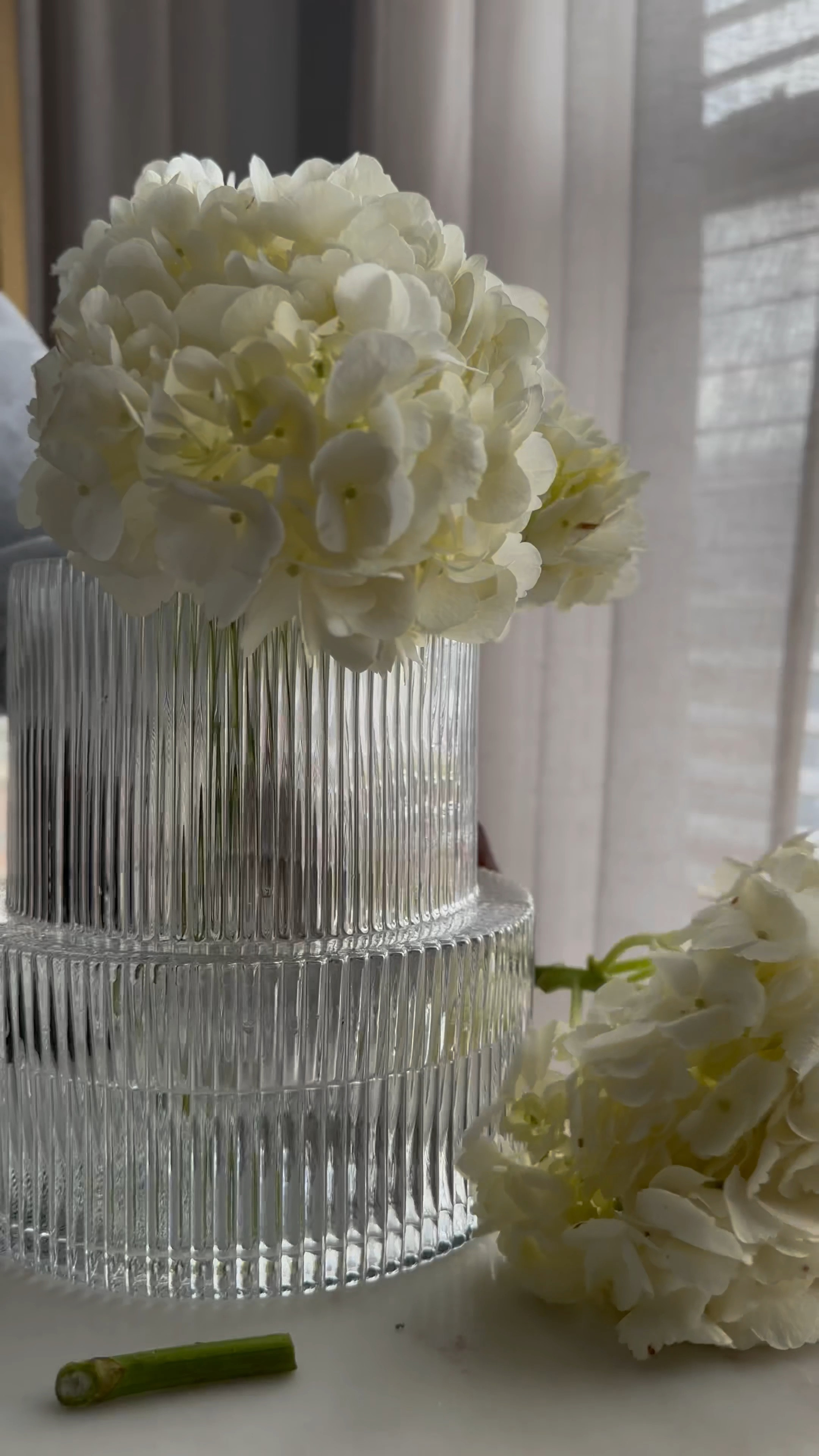 The perfect vase for spring florals! 😍

#LTKhome #LTKSeasonal #LTKstyletip