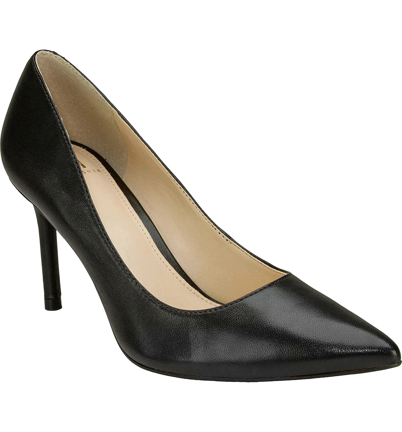 Salley Pointed Toe Pump (Women) | Nordstrom