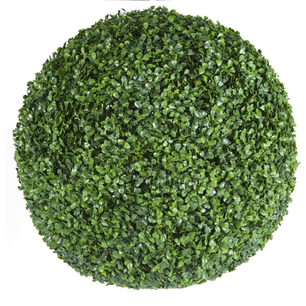 Ball Boxwood Hedge | Wayfair North America