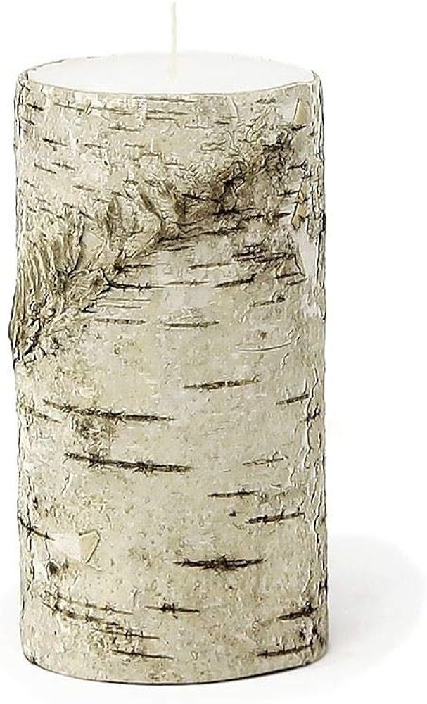 Serene Spaces Living Birch Bark Candle, Medium Size – Pillar Style Candle Brings Nature Indoors... | Amazon (US)
