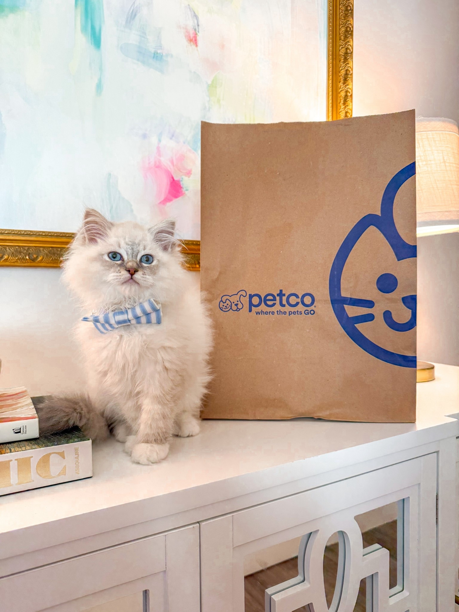 Our kitten favorites from @petco! Toast is loving his trips to pick out new toys and goodies🤭 #petcopartner