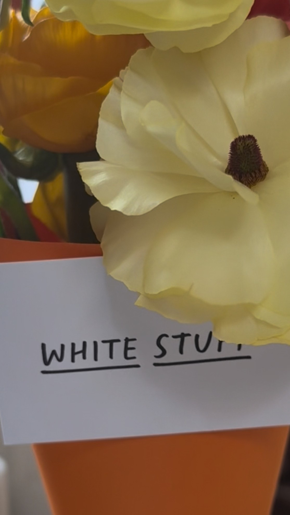 All my top finds at the White Stuff Press Day
INPOx

#LTKspring #LTKuk #LTKover50style