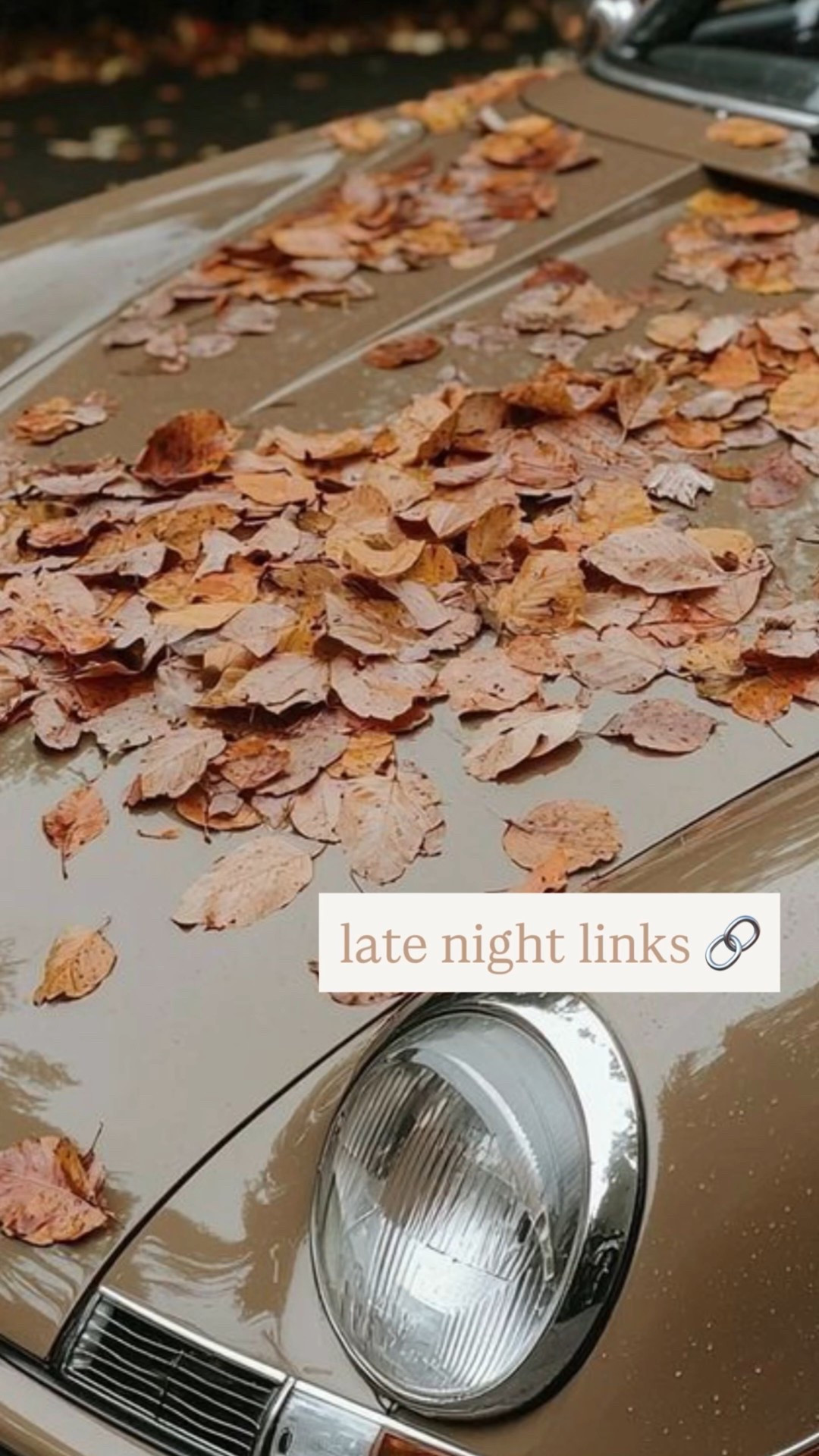 Here’s a version that blends a personal tone with SEO-friendly keywords so it attracts new readers and aligns with your neutral, chic brand voice:

⸻

Late-night shopping 🔗
Rounding up my favorite November fashion capsule finds — from cozy knit sweaters and structured coats to suede boots and holiday-ready metallics. These are the neutral wardrobe staples I’m adding to cart for the season.
If you’re updating your fall-to-winter wardrobe, you’ll love these trending pieces — chic, timeless, and made to mix and match 🤍

 🔗 #LateNightLinks #NovemberFashion #CapsuleWardrobe #NeutralStyle #FallOutfitIdeas #WinterStyle #ChicEssentials

⸻
