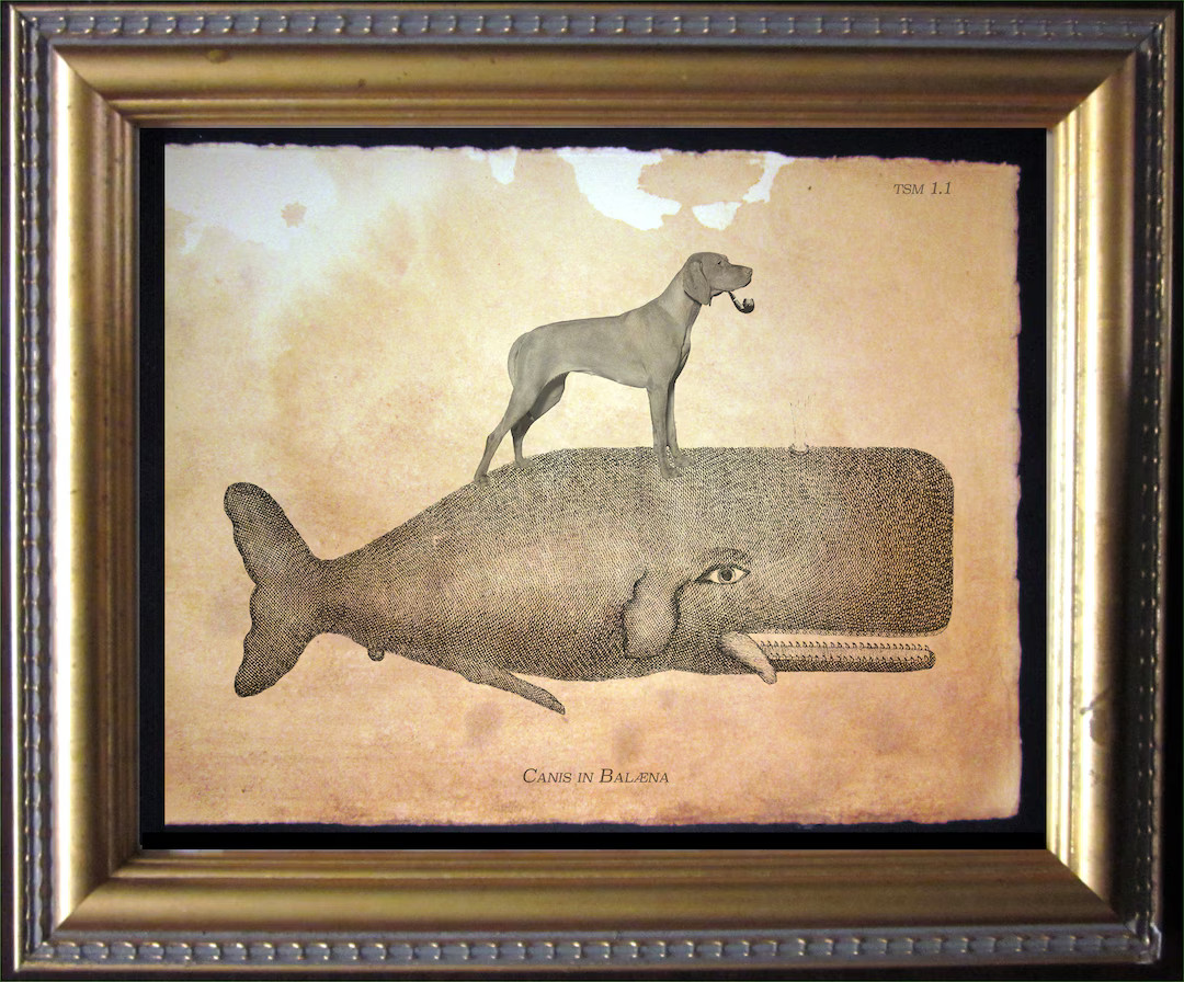 Vizsla Dog Riding Whale Vintage Collage Print Tea Stain Dog Art Dog Gifts for Christmas Gifts for... | Etsy (US)