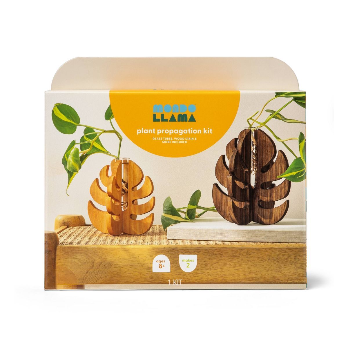 Plant Propagation Garden Wood Craft Kit - Mondo Llama™ | Target