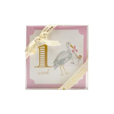 Sir Proper's Month Markers | The Beaufort Bonnet Company