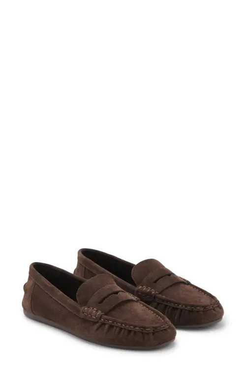 MANGO Suede Penny Loafer in Chocolate at Nordstrom, Size 41 | Nordstrom