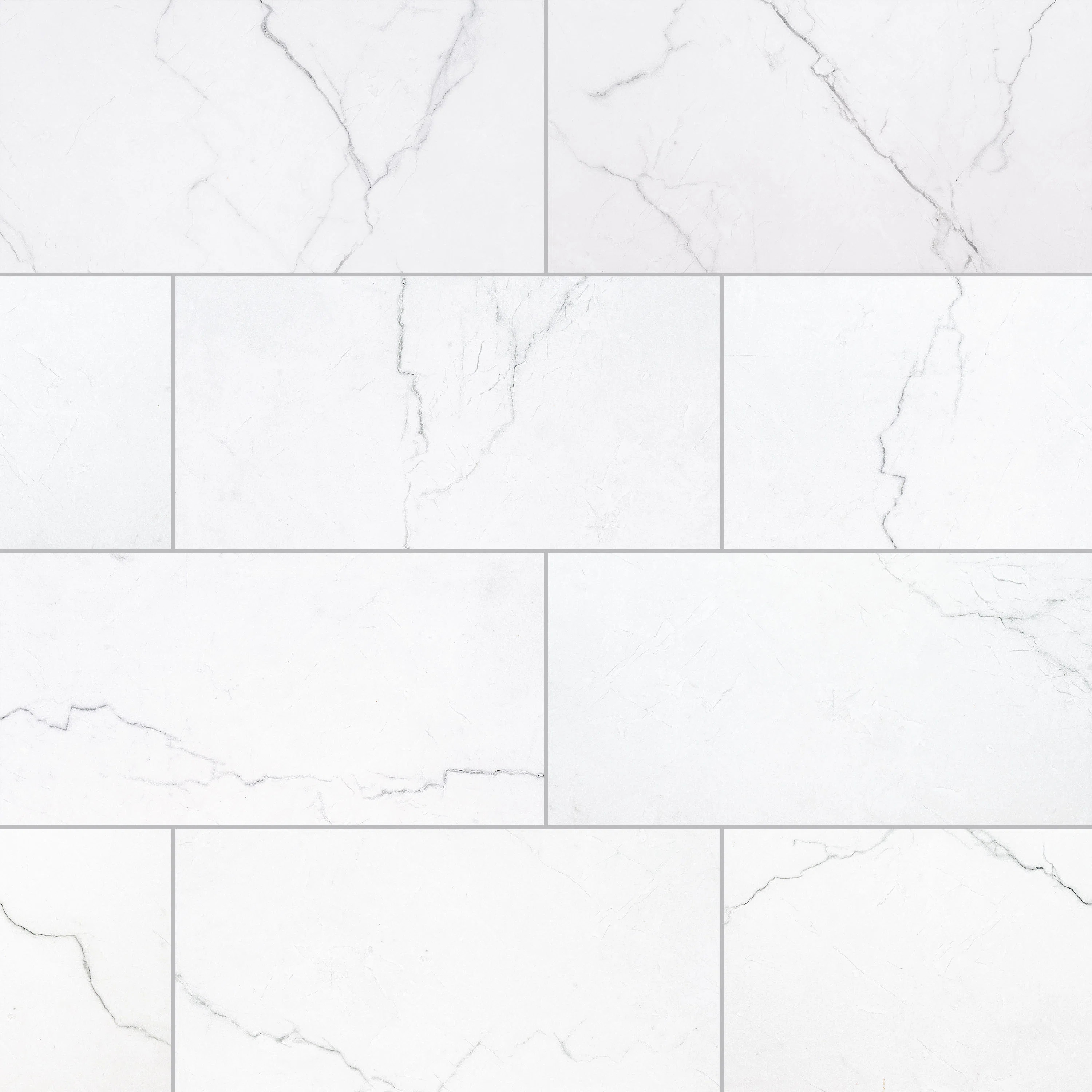 Beldale 12 in. x 24 in. Matte Porcelain Marble Look Floor and Wall Tile | Wayfair North America