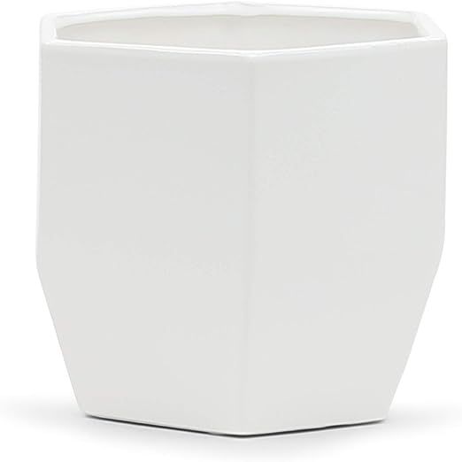 WGV Geometric Ceramic Vase, Width 6.3", Height 6", Matte White Hex Flower Pot, Folded Trendy Plan... | Amazon (US)