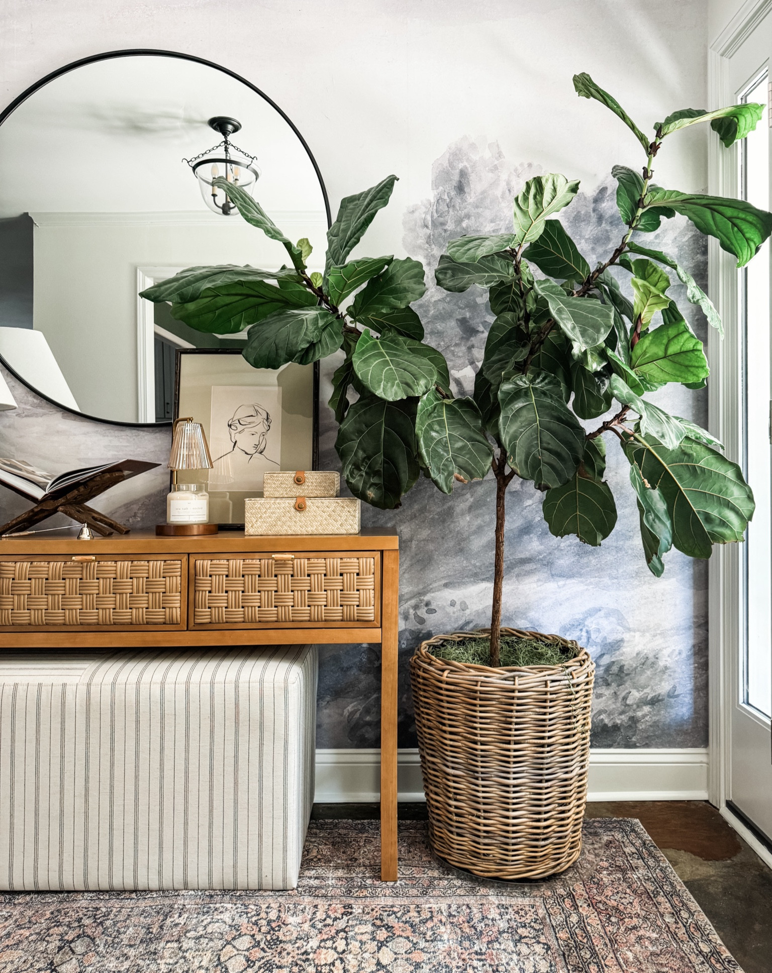 Fergie the fiddle is so happy in this corner and the new plant spray I found keeps her so fresh and so clean-clean! 

#plantspray #wovenplanter #planter #fauxmoss #console #art #studiomcgee #warminglamp #roundmirror #upholsteredottomam

#LTKHome #LTKFindsUnder50 #LTKFindsUnder100