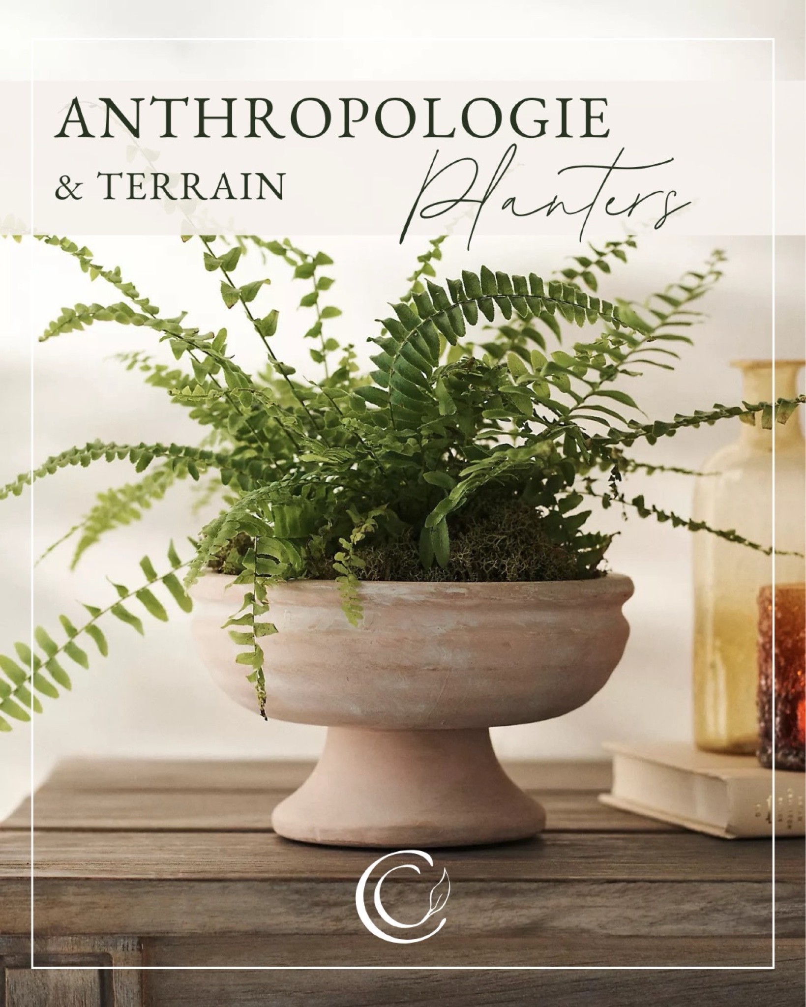 Footed bowl planter

#LTKSpringSale #LTKhome #LTKSeasonal