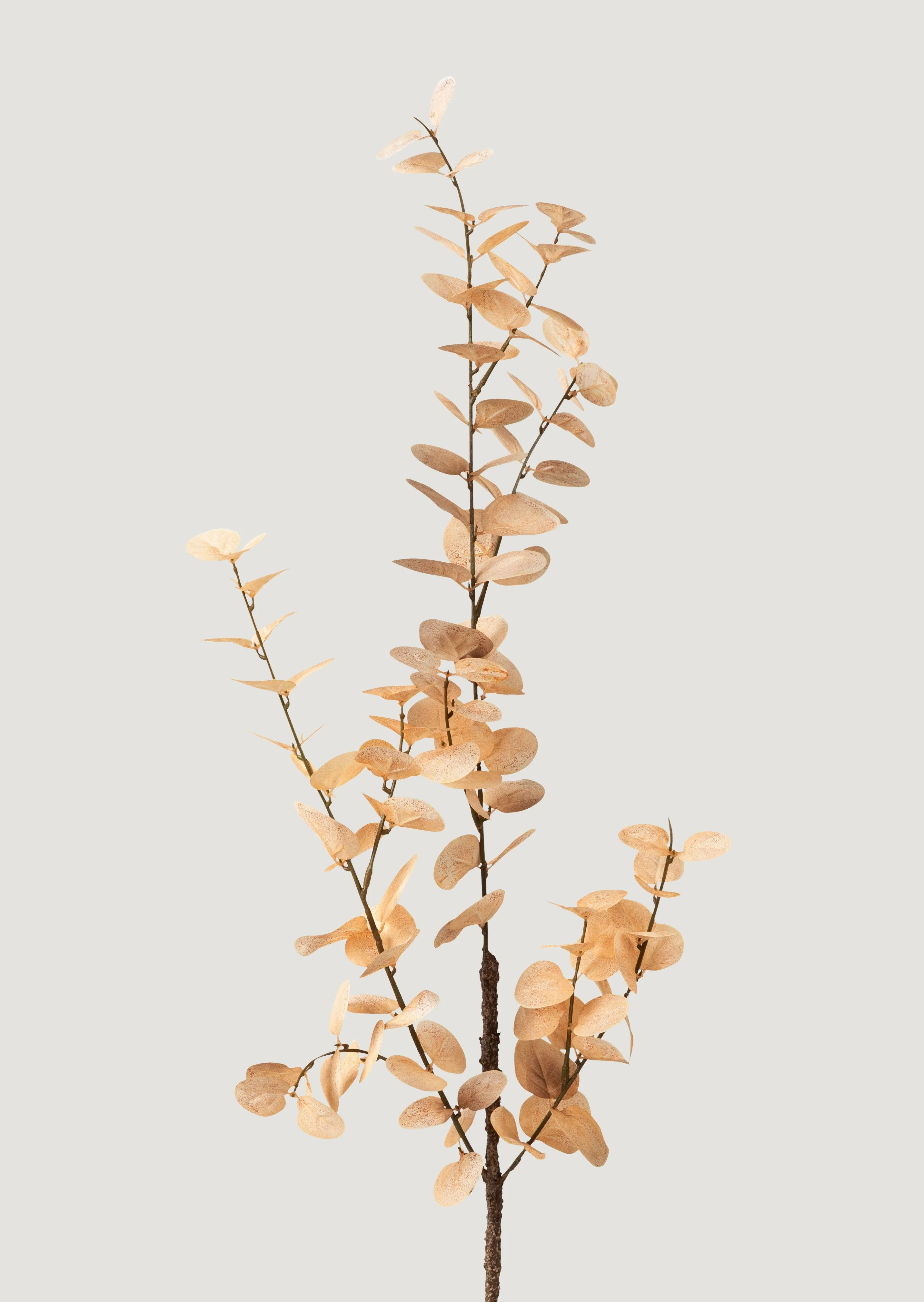 Faux Eucalyptus Branch in Mocha - 35" | Afloral