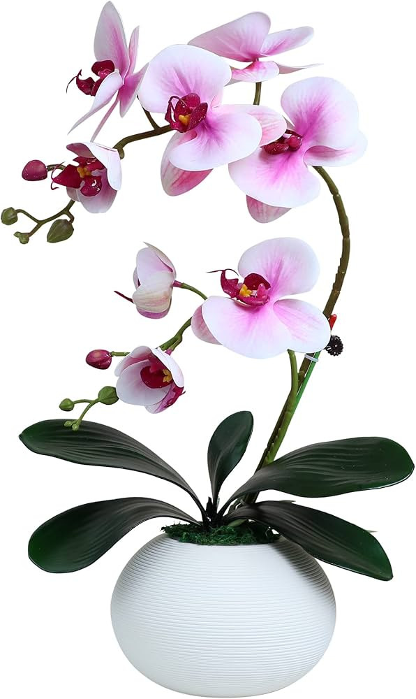 Forlaoers 17" Tall Purple Phalaenopsis Orchid Artificial Flowers Included Vase Faux Plant Potted ... | Amazon (US)