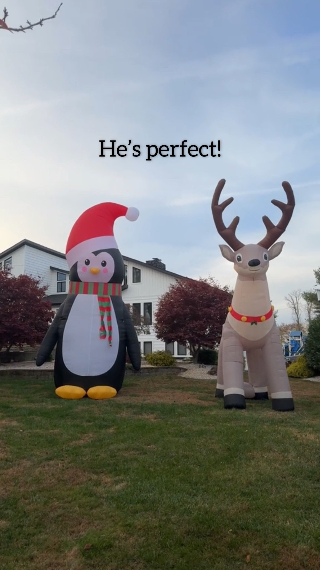 Got the 20 foot inflatable penguin this year to go with our reindeer we purchased last year! #christmasdecor #holidaydecor #inflatables

#LTKSeasonal #LTKHoliday #LTKCyberWeek