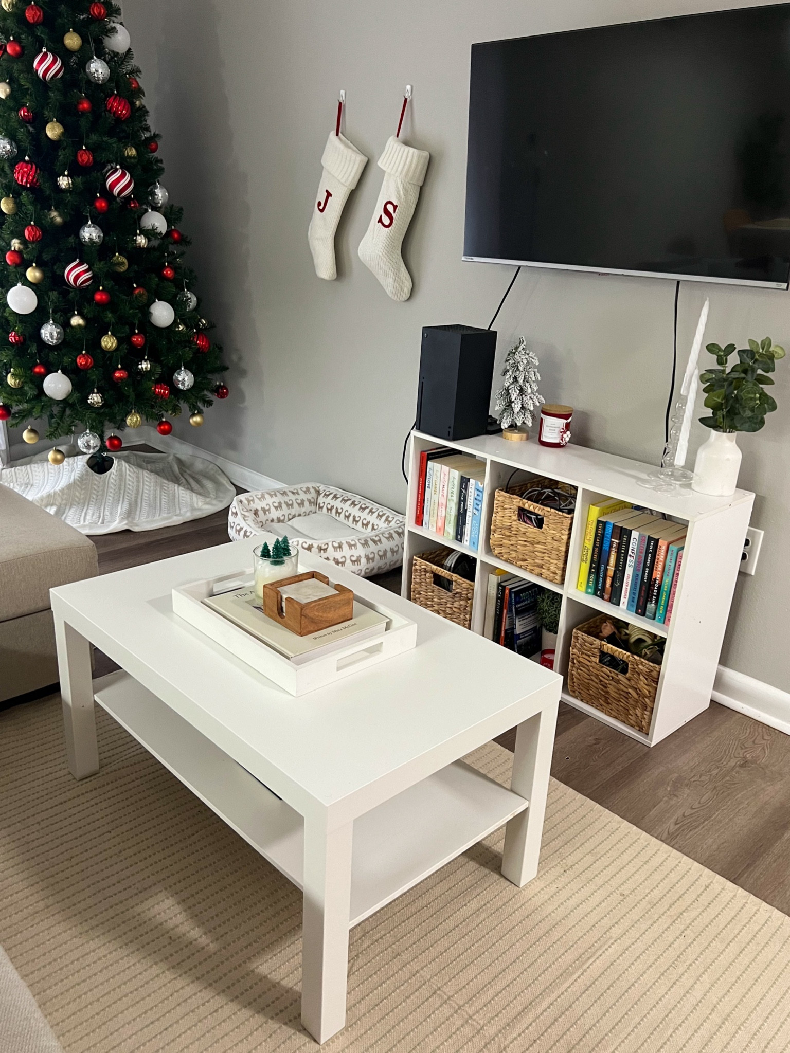 living room furniture & decor 🛋️🪴
