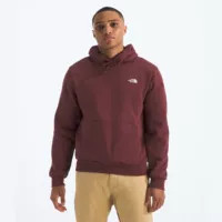 The North Face Men's Evolution Hoodie | DICK'S Sporting Goods